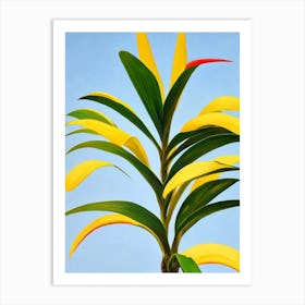 Red Edged Dracaena Bold Graphic Plant Art Print