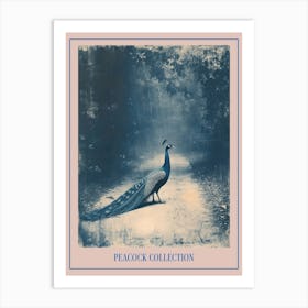 Peacock In The Wild Blue Cyanotype 4 Poster Art Print