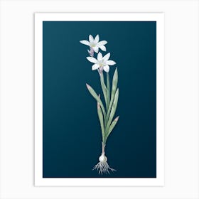 Vintage Ixia Liliago Botanical Art on Teal Blue n.0603 Art Print