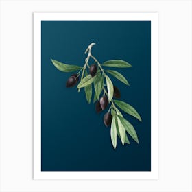 Vintage Olive Tree Branch Botanical Art on Teal Blue n.0708 Art Print
