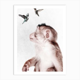 Monkey with Birds Art Print