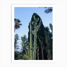 Cactus Garden Art Print