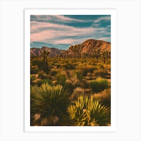 Joshua Tree National Park United States Of America Vintage Poster Art Print