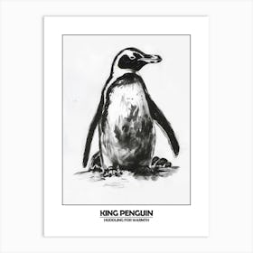 Penguin Huddling For Warmth Poster 4 Art Print