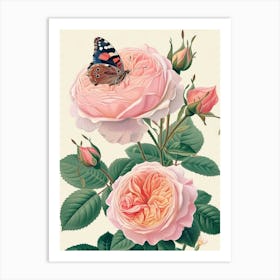 English Roses Painting Rose With Butterfly 1 Art Print