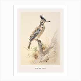 Vintage Bird Drawing Roadrunner 1 Poster Art Print