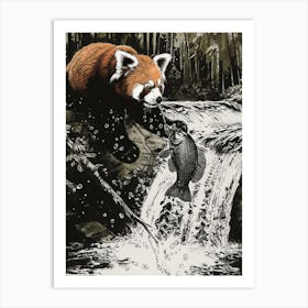 Red Panda Catching Fish In A Waterfall Ink Illustration 2 Art Print