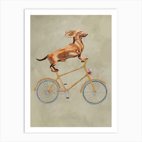 Dachshund On Bicycle Art Print