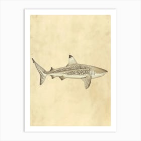 Whale Shark Vintage Illustration 5 Art Print