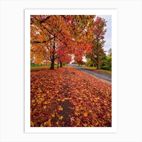 Autum Street Art Print