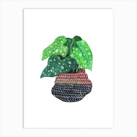 Lungwort Plant Art Print