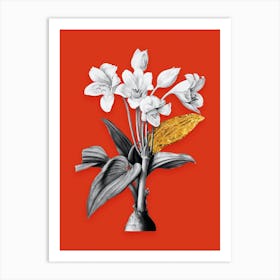Vintage Crinum Giganteum Black and White Gold Leaf Floral Art on Tomato Red n.0790 Art Print