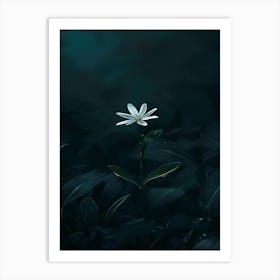 Dark Flower 13 Art Print