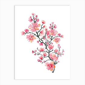 Watercolor Cherry Blossoms 3 Art Print