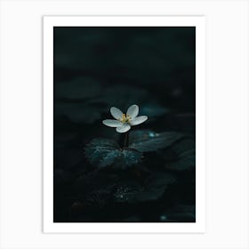 Single Flower In Water 22 Art Print