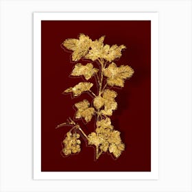 Vintage Redcurrant Plant Botanical in Gold on Red n.0019 Art Print