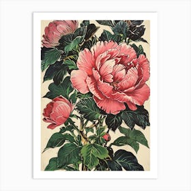 Peony Art Print