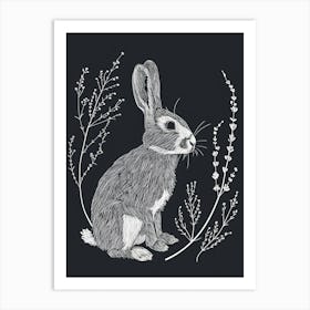 Netherland Dwarf Rabbit Minimalist Illustration 3 Art Print