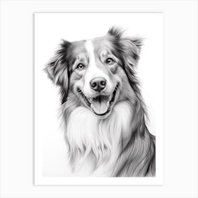 Australian Shepherd Dog, Line Drawing 2 Art Print