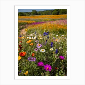 Wildflower Field Art Print