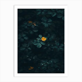 Yellow Flower In Water 2 Art Print