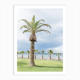 Palm Tree On The Beach Art Print