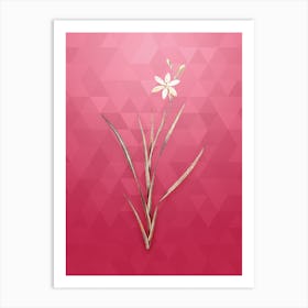 Vintage Ixia Anemonae Flora Botanical in Gold on Viva Magenta n.0295 Art Print