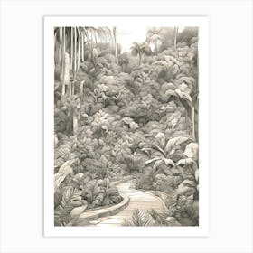 Way Through The Jungle Art Print