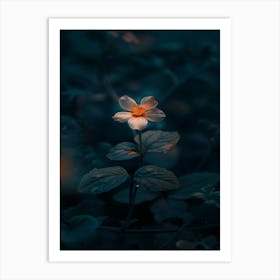 Dark Flower 41 Art Print