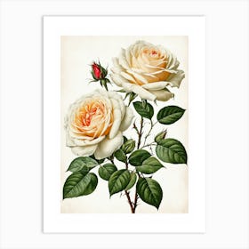 Vintage Galleria Style Rose Art Painting 21 Art Print