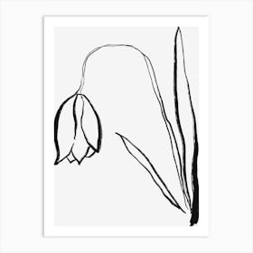 Daffodil Art Print