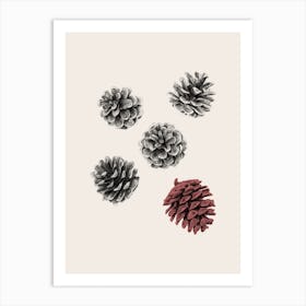 Pine Cones Art Print