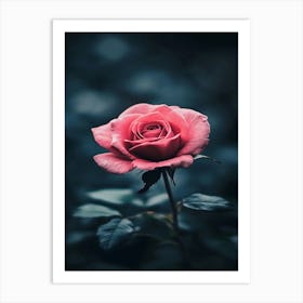 Pink Rose Wallpaper 5 Art Print