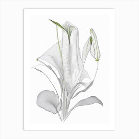 Zantedeschia Floral Quentin Blake Inspired Illustration 4 Flower Art Print