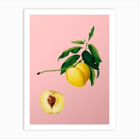 Vintage Yellow Apricot Botanical on Soft Pink n.0651 Art Print