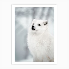 White Arctic Fox Art Print