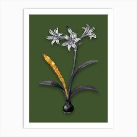 Vintage Amaryllis Black and White Gold Leaf Floral Art on Olive Green n.0690 Art Print