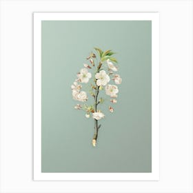 Vintage Pear Tree Flowers Botanical Art on Mint Green n.0753 Art Print