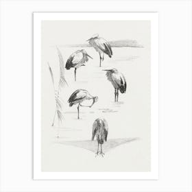 Greeting Card With Five Storks (1878–1917), Theo Van Hoytema Art Print