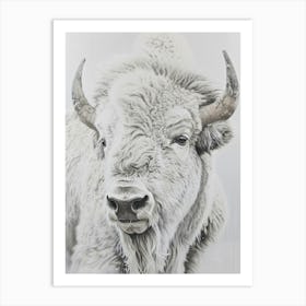 Bison Canvas Print 2 Art Print