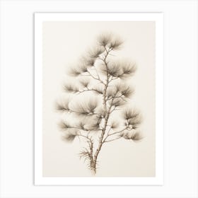 Rustic Winter Botanical Drawing Art Print