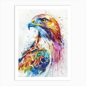 Hawk Colourful Watercolour 1 Art Print