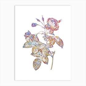 Stained Glass Pink Boursault Rose Mosaic Botanical Illustration on White n.0273 Art Print
