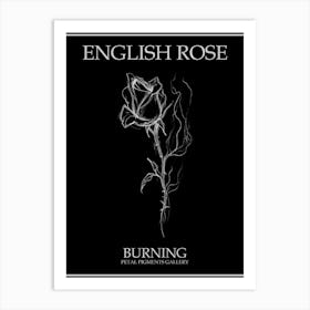 English Rose Burning Line Drawing 3 Poster Inverted Art Print