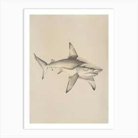Dogfish Shark Vintage Illustration 6 Art Print