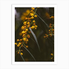 Golden Botanicals Art Print