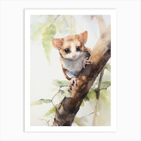 Light Watercolor Painting Of A Mahogany Glider 4 Art Print