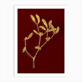 Vintage Viscum Album Branch Botanical in Gold on Red n.0098 Art Print