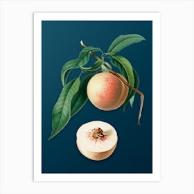 Vintage Peach Botanical Art on Teal Blue n.0596 Art Print