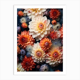 Dahlias 19 Art Print